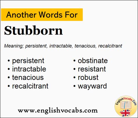 another term for stubborn